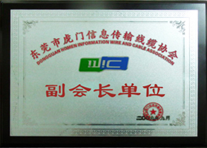 押出機廠家贊揚榮譽-副會長單位